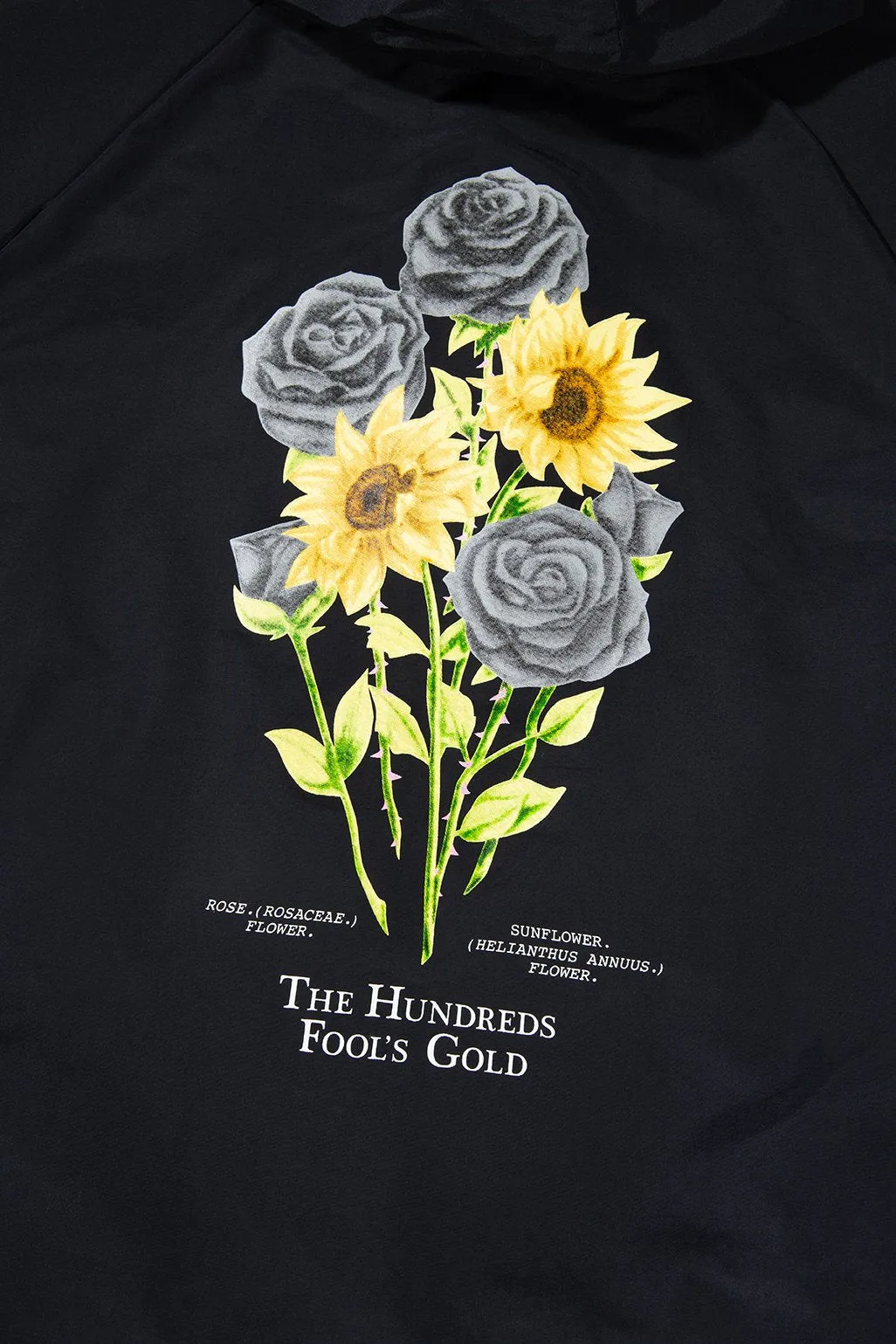 Fool's Anorak